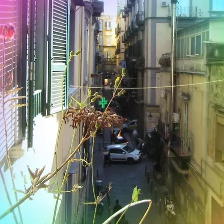 Apartment 4p Casa Naples