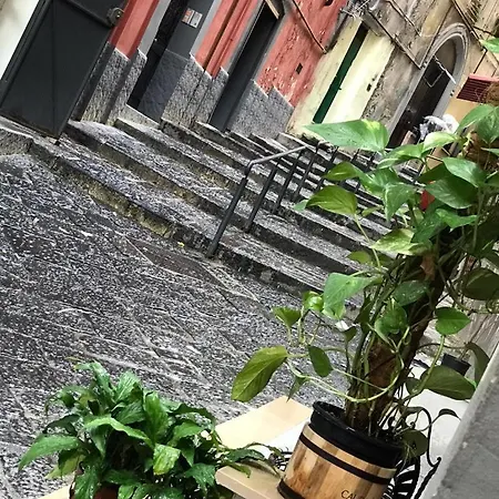 Casa Mari' Centro Storico Vicino Caracciolo * Naples
