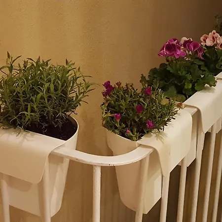 Apartment Gennarino's Naples