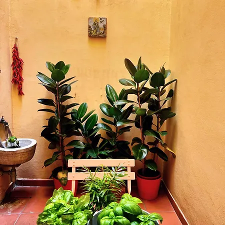 Apartment La Casa Dei Librai Naples