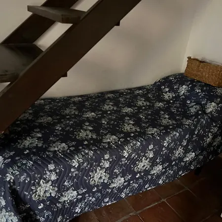 La Limonaia Di Chiaia Appartamento