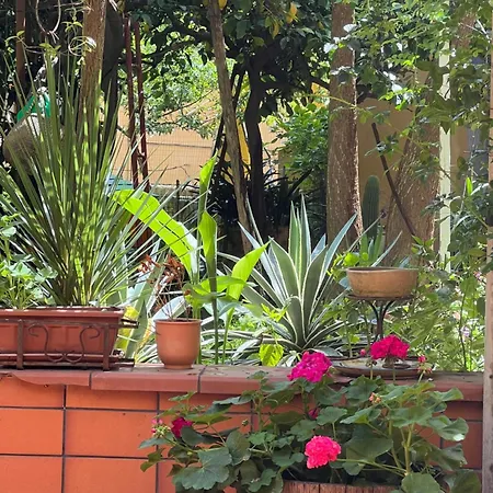 Appartamento La Limonaia Di Chiaia Napoli
