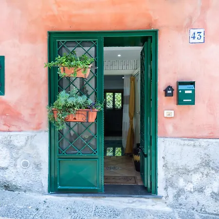 Flavia's Naples