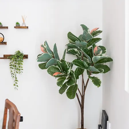 Apartment Covino House By Dimorra