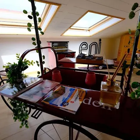 Ibis Redibis Naples