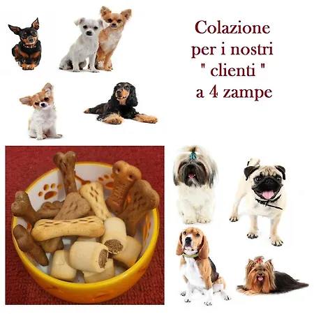 La Casetta Di Oppi Apartment *