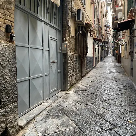 Maison Frattasio * Napoli