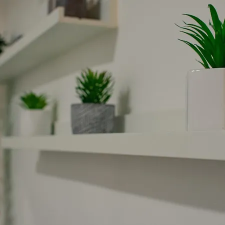 Il Dubbio Ai Spagnoli Apartment Naples