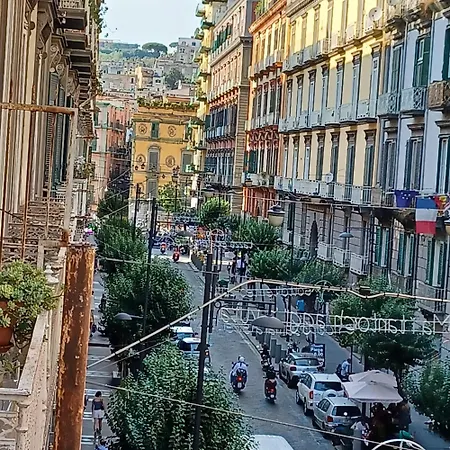 Domus Duomo *