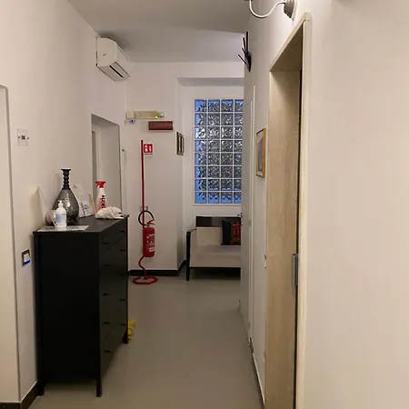 Plebiscito