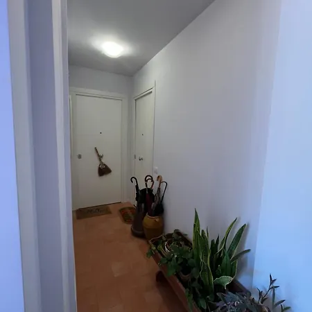 Apartment Mini Domus Al Centro Storico Di