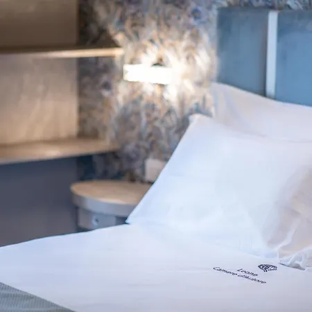 Leone D'autore - Rooftop Centro Storico Guest house Naples