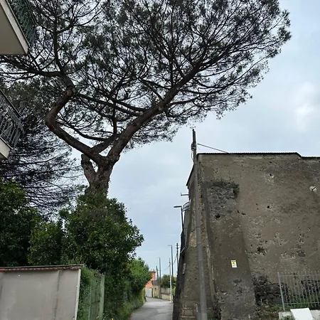 B&borrelli La Dimora Dell Artista Pensjonat Neapol