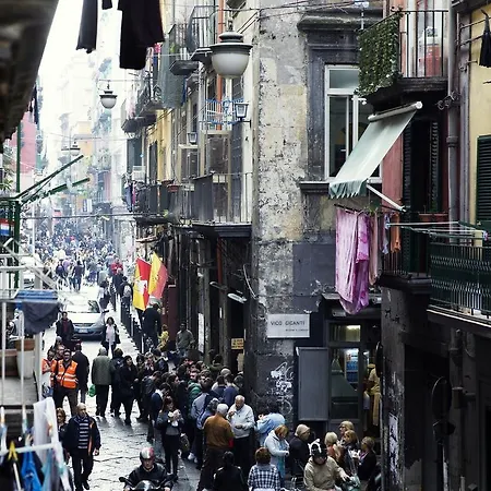 Rochel Naples