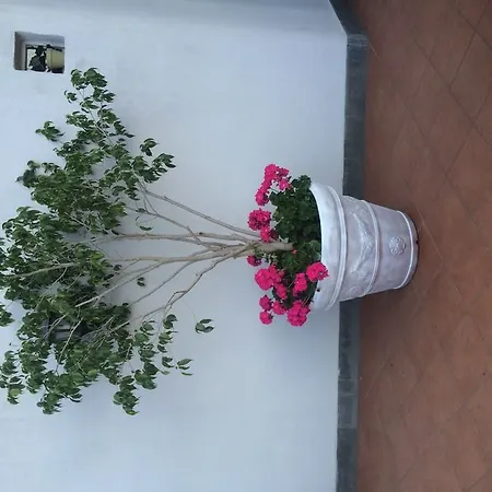 Hotel Margherita Napoli