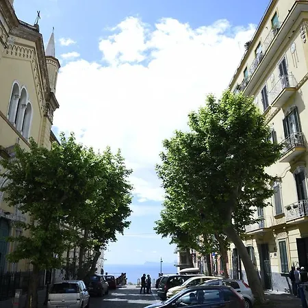 Cerasella