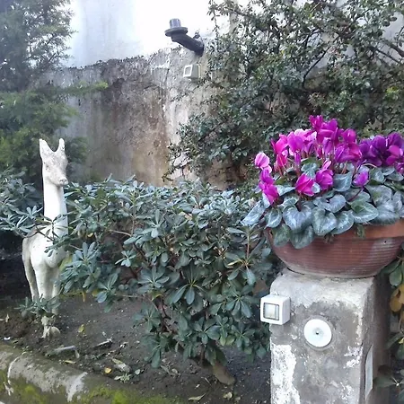 B&B Domus Aurea 나폴리