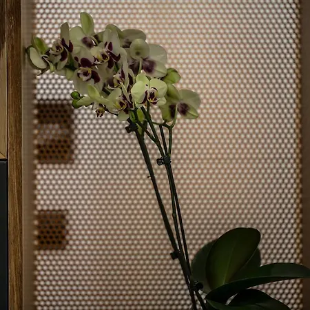 The Boutique 2* Napoli
