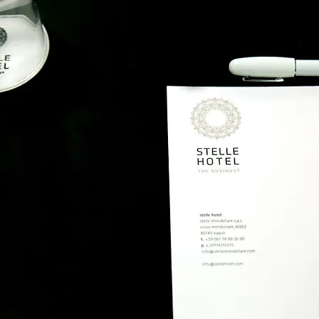 Stelle The Businest Hotel 4*