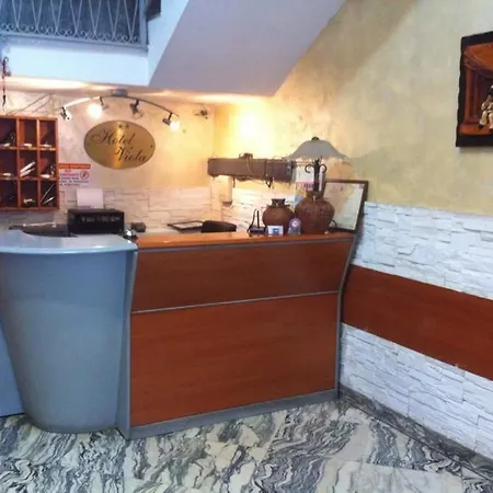Hotel Viola