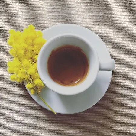 Alojamento de Acomodação e Pequeno-almoço La Stella Di 3*