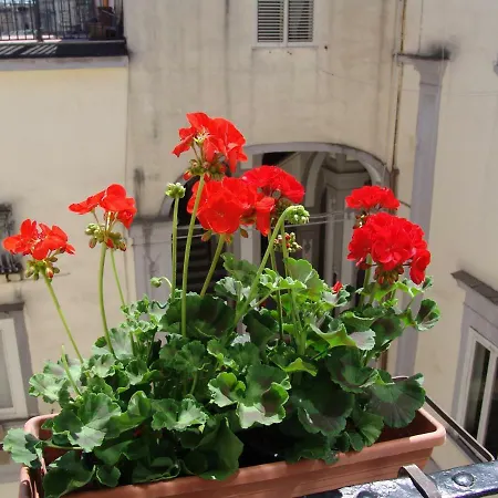 Terrazza Dei Principi Гостевой дом Неаполь