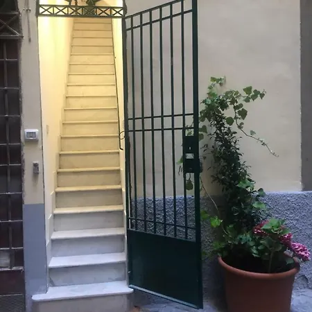 Apartment Geco's
