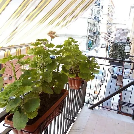 Domus Adriana *