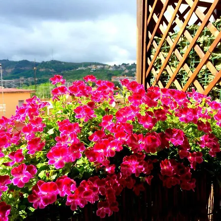 Appartement Delicia - Con Terrazza Naples