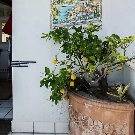 Appartement Martucci With Seaview *