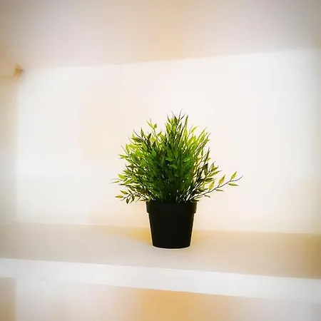 Casa Vacanze Caterina Holiday home Naples