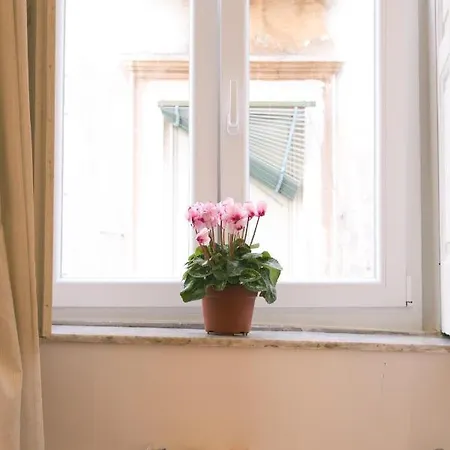 La Casa Del Nespolo, 2 Terrazzi E 2 Bagni In Centro * Naples