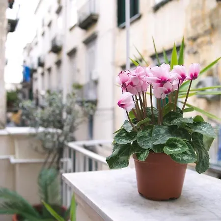 Apartment La Casa Del Nespolo, 2 Terrazzi E 2 Bagni In Centro