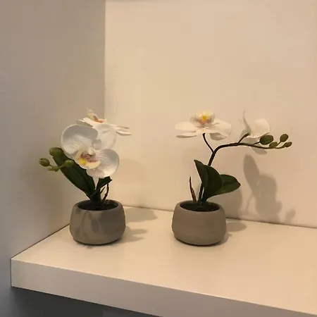 Vesucharme Luxury Couette-café *