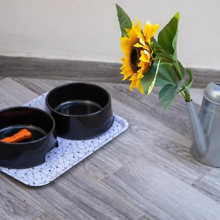 Donna Carmen Apartment