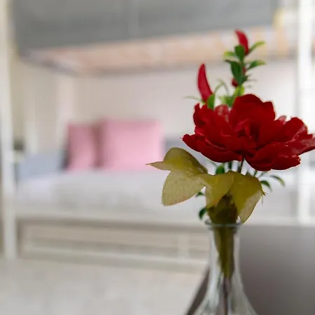 Guest house Allyoucantrip - Porto *
