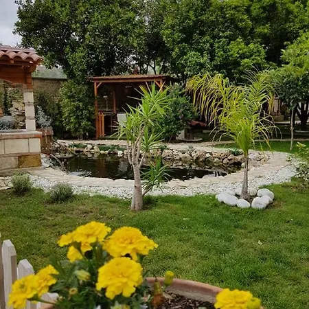 Casa Le Ali - Fraternita E Spiritualita Nel Cuore Di Bed & Breakfast *