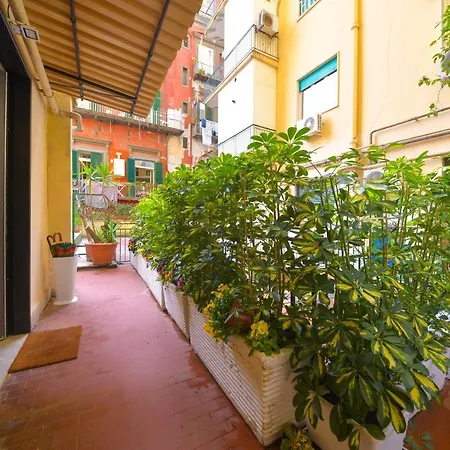 Guest house Domus 42 2*