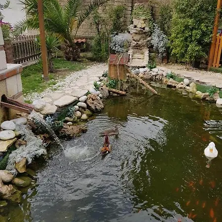 Casa Le Ali - Fraternita E Spiritualita Nel Cuore Di Naples