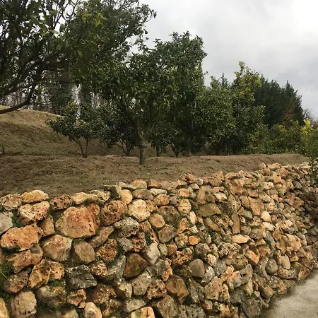 Bed & Breakfast Tenuta Michele