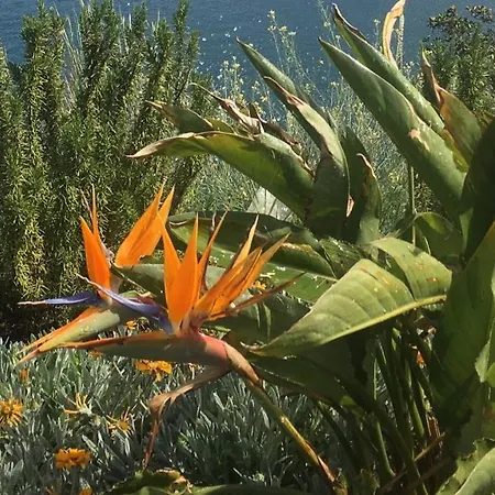 Tenuta Michele *