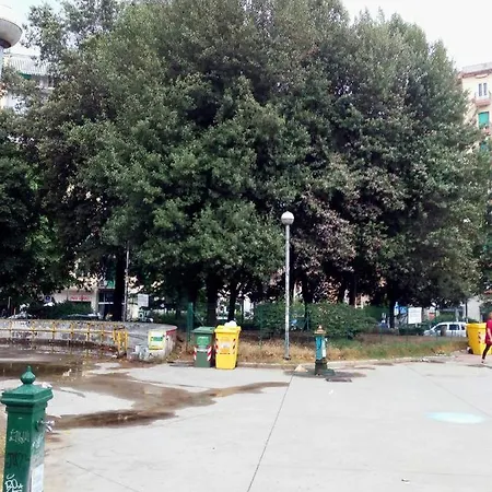 Cicicoco Отель типа 