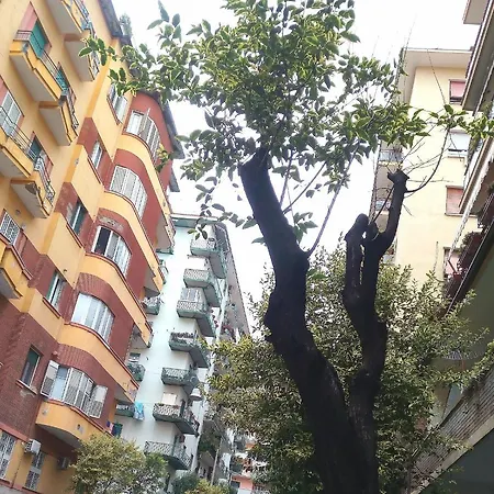 Cicicoco Отель типа 