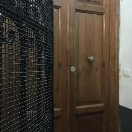 Oda ve Kahvaltı Domus Sansevero *
