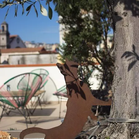 Schiara Bed & Breakfast 3*
