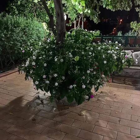 Il Moggio Holiday home *