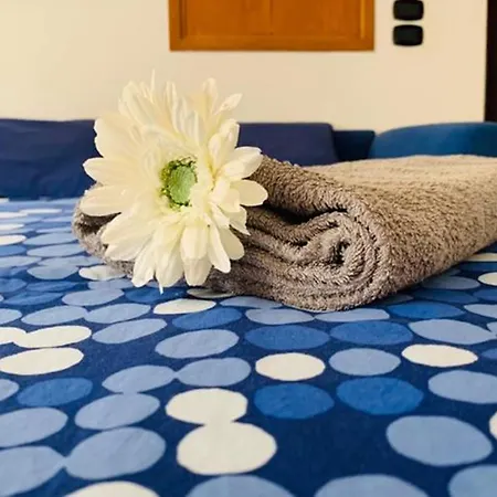 Casetta Nel Cuore Di Con Terrazzo *