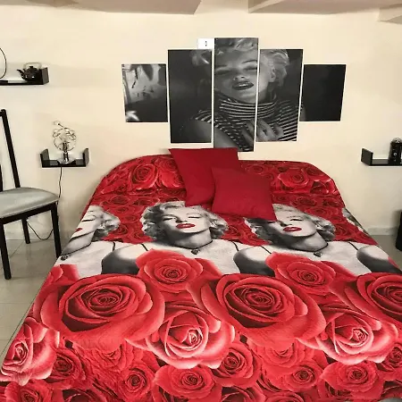 Lucy Guest house