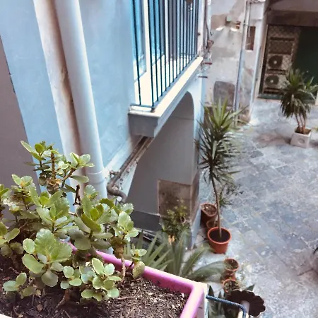 Maria Guest house