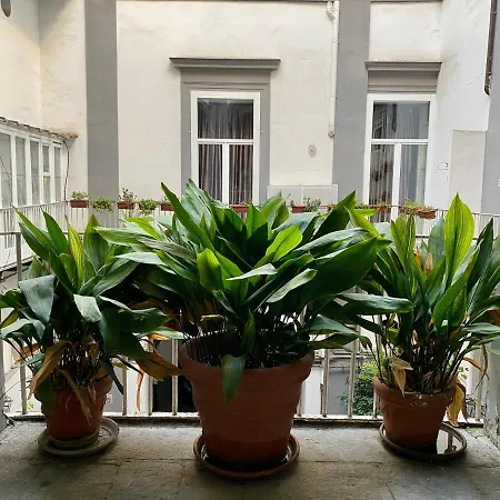 Appartamento Cache-nez, *